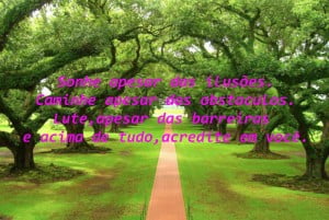 acredite em voce sempre