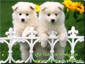 frases lindas para motivação