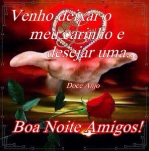 mensagem com amor boa noite amigos