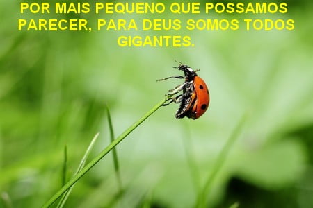 para Deus somos todos grandes - mensagens otimistas