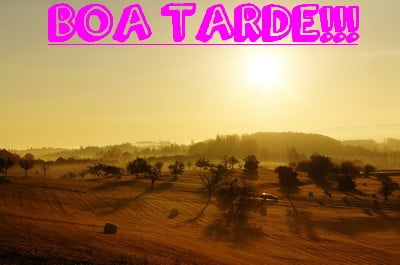 mensagens boa tarde para grupos whatsapp