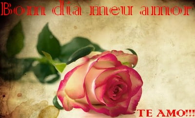 mensagem bom dia amor da minha vida