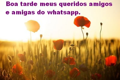 boa tarde meus amigos e amigas do whatsapp