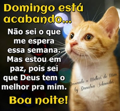 boa noite domingo e uma semana vitoriosa