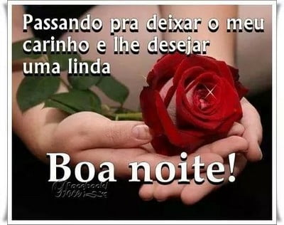 mensagens e frases boa noite amigos