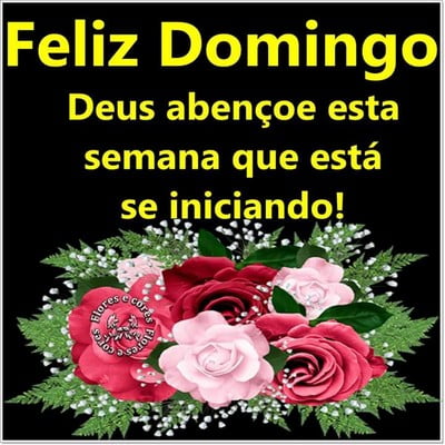 feliz domingo meus amigos recheado de alegrias