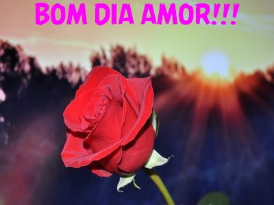 mensagem em video bom dia meu amor
