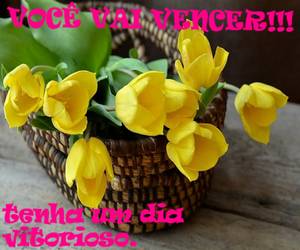 mensagem bom dia voce vai vencer acredite sempre