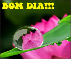 mensagens bonitas de bom dia