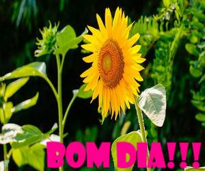 frazes de bom dia mensagens com amor