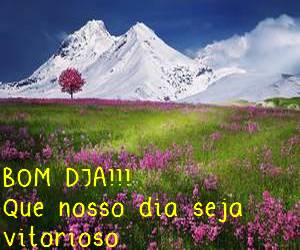 frases lindas de bom dia