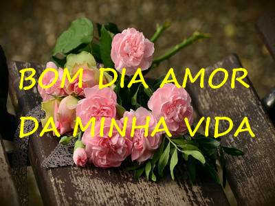 bom dia amor da minha vida