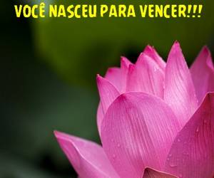 mensagens lindas otimistas