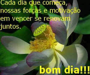 bom dia que seu dia seja recheado de bençaos