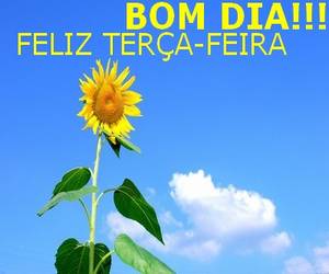feliz terça feira frases d bom dia