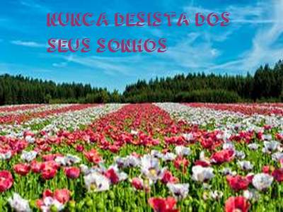 nunca desista dos seus sonhos