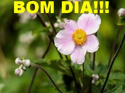 que nosso dia seja perfeito bom dia