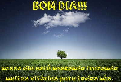 frases lindas de bom dia recheada 