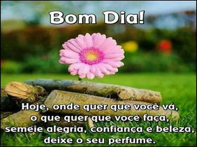 linda imagem de bom dia
