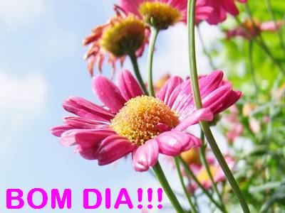 linda mensagem de bom dia amigos