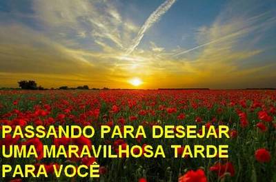 boa tarde familia-que seja linda nossa tarde