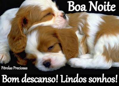 belas mensagens-boa noite com lindos sonhos
