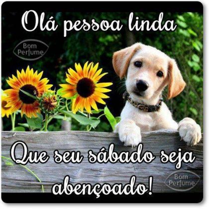 feliz sabado para voce pessoa linda