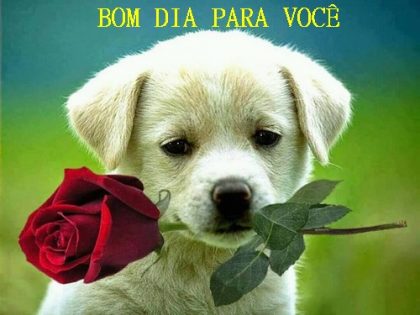 bom dia para voce pessoa querida