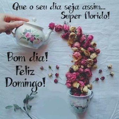 feliz domingo bom dia