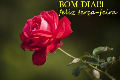 feliz e vitoriosa terca feira