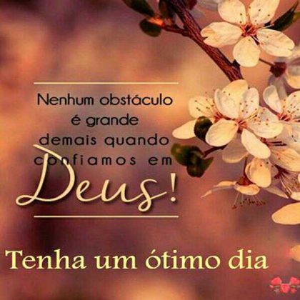 mensagem vitoriosa de bom dia