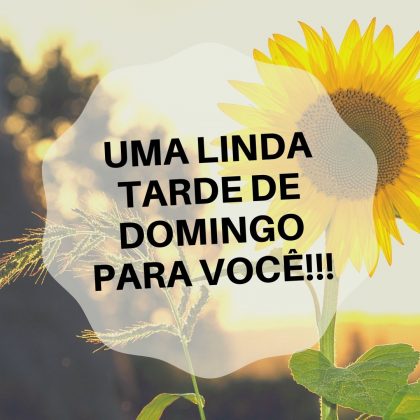 boa tarde de domingo