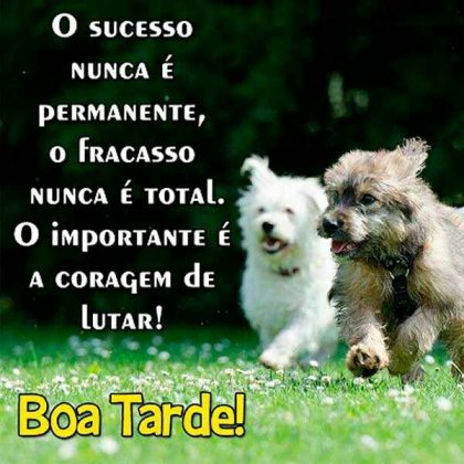 boa tarde amigo-nunca desista de lutar
