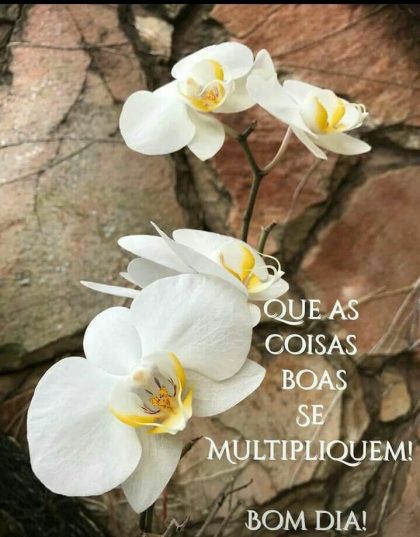 bom dia na paz do senhor