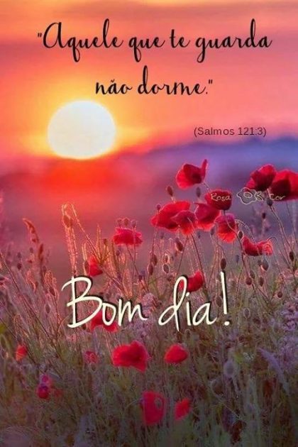 bom dia com muita alegria paz amor no coração frases