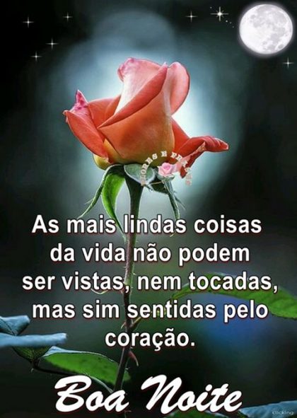 boa noite de sabado com flores