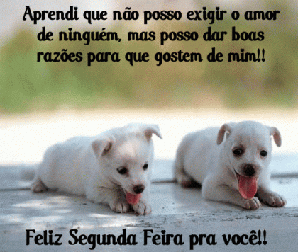 bom dia segunda feira engraçada