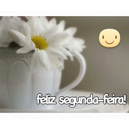 bom dia segunda feira maravilhosa