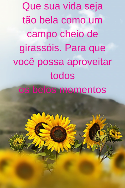 frases de girassol