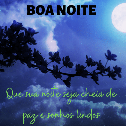 boa noite com flores do campo