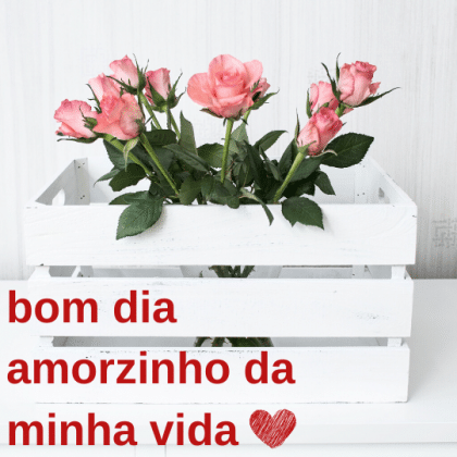 bom dia meu amorzinho lindo