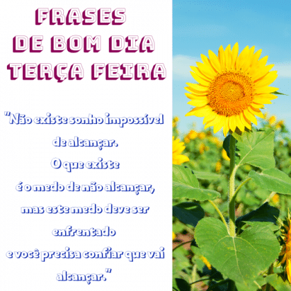 frases de bom dia terça feira