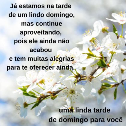 mensagem de boa tarde de domingo