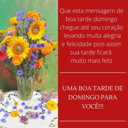 boa tarde de domingo