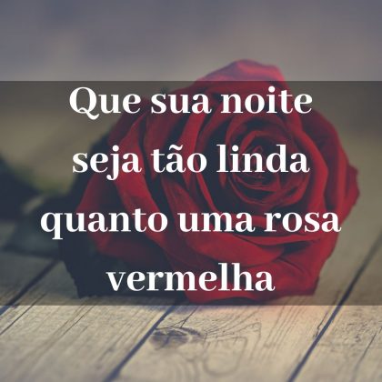 boa noite com rosas vermelhas