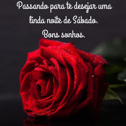 boa noite sabado com rosas
