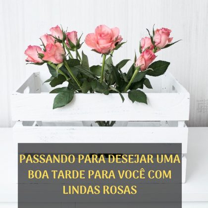 boa tarde com rosas