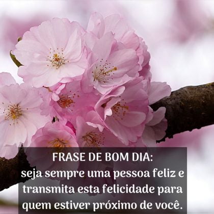 bom dia com flores e frases