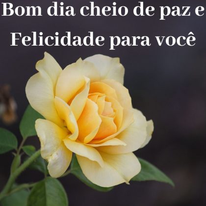 bom dia com rosas amarelas