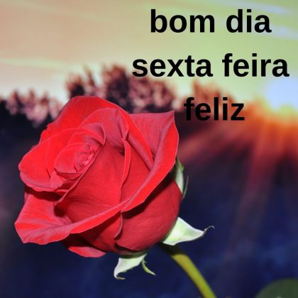 bom dia sexta feira feliz
